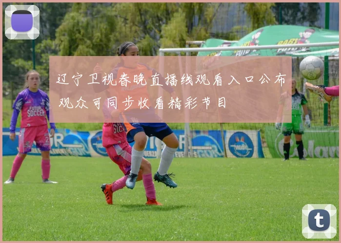 辽宁卫视春晚直播线观看入口公布 观众可同步收看精彩节目