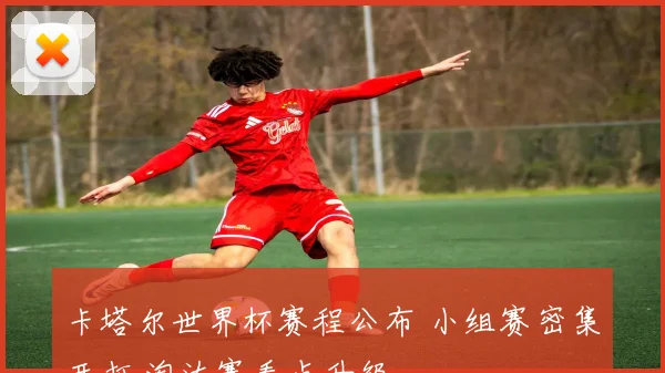 卡塔尔世界杯赛程公布 小组赛密集开打 淘汰赛看点升级