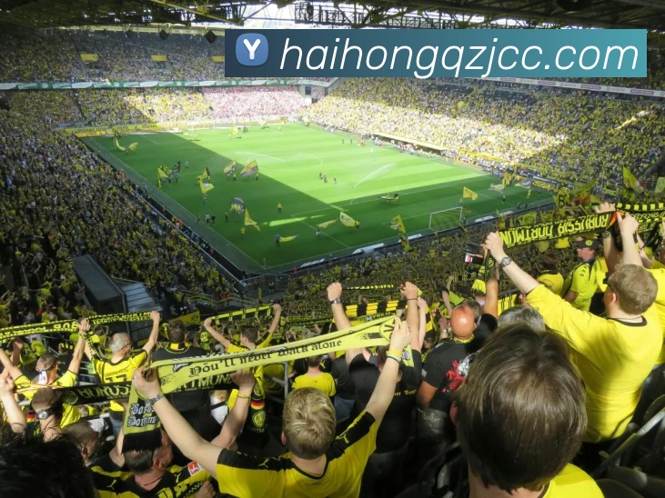 半岛官网在线登陆平台生态图