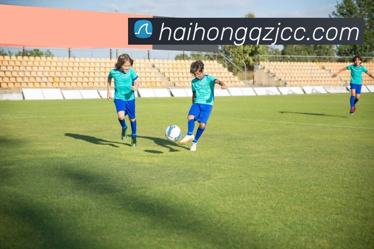 数据防护可视化